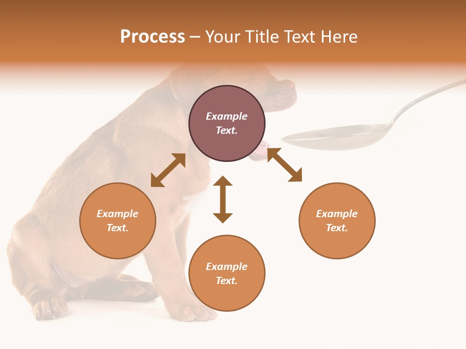 Tongue Healthcare Studio PowerPoint Template