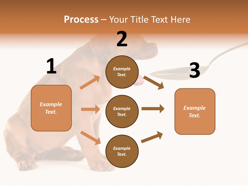 Tongue Healthcare Studio PowerPoint Template