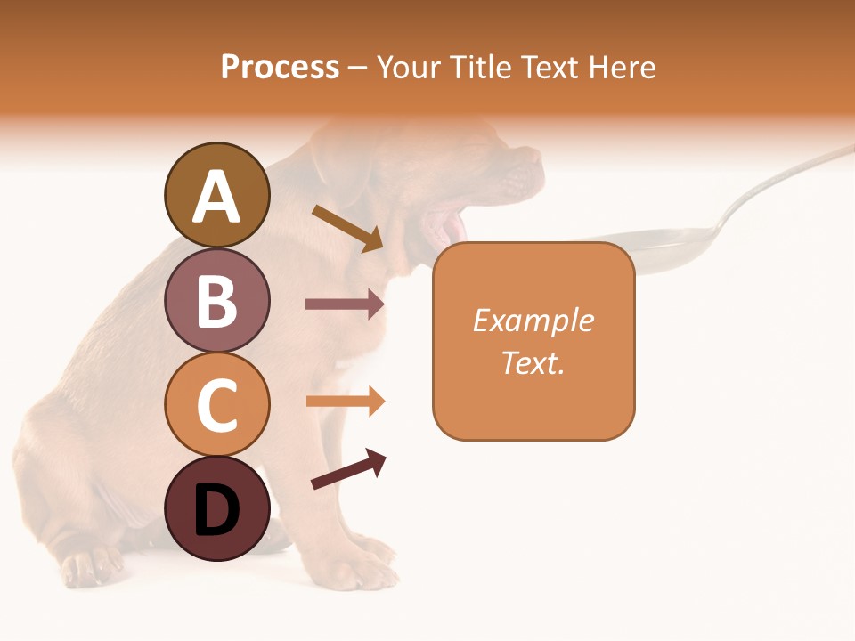 Tongue Healthcare Studio PowerPoint Template