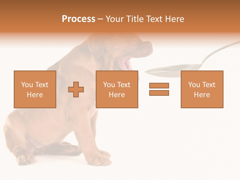 Tongue Healthcare Studio PowerPoint Template
