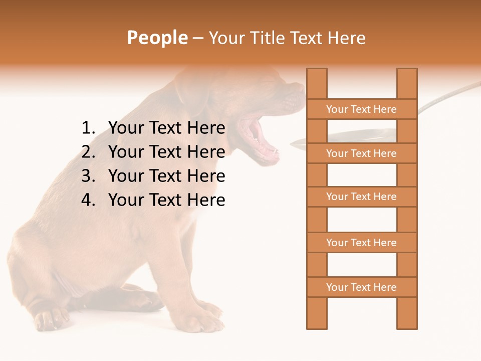 Tongue Healthcare Studio PowerPoint Template