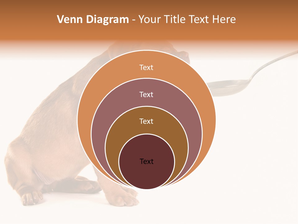 Tongue Healthcare Studio PowerPoint Template