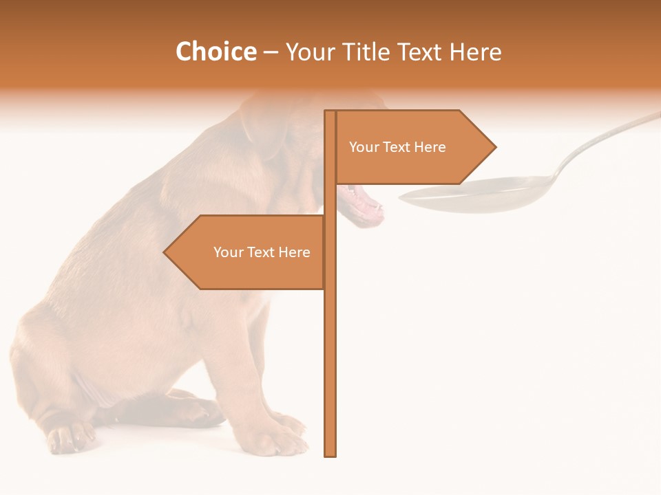 Tongue Healthcare Studio PowerPoint Template