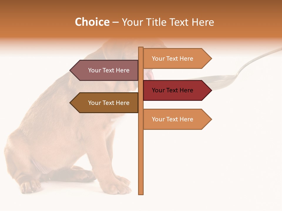 Tongue Healthcare Studio PowerPoint Template