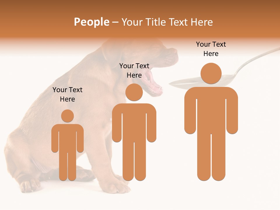 Tongue Healthcare Studio PowerPoint Template