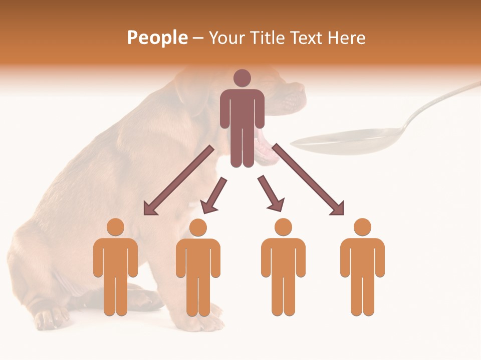 Tongue Healthcare Studio PowerPoint Template