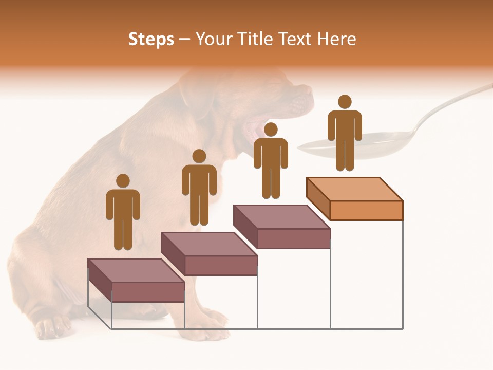 Tongue Healthcare Studio PowerPoint Template