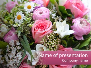Romantic Present Rosa PowerPoint Template
