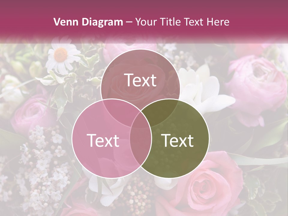 Romantic Present Rosa PowerPoint Template