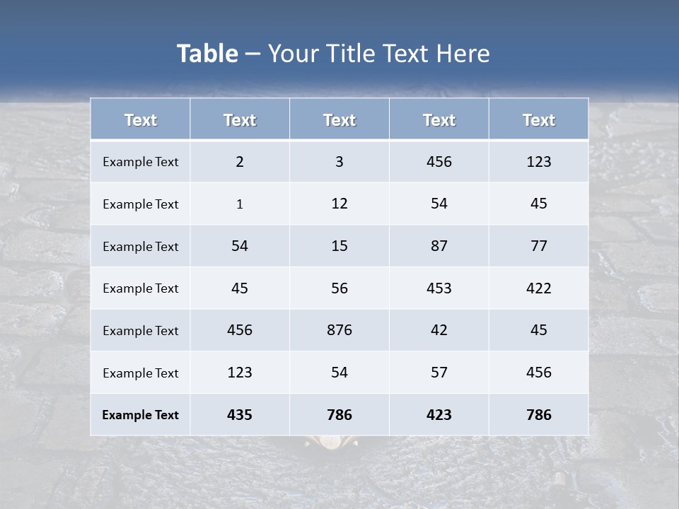 Way Of St James Rain Shell PowerPoint Template