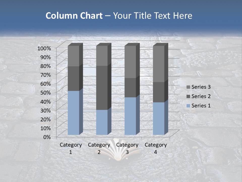 Way Of St James Rain Shell PowerPoint Template