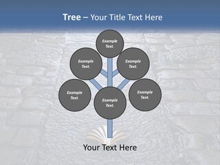 Way Of St James Rain Shell PowerPoint Template