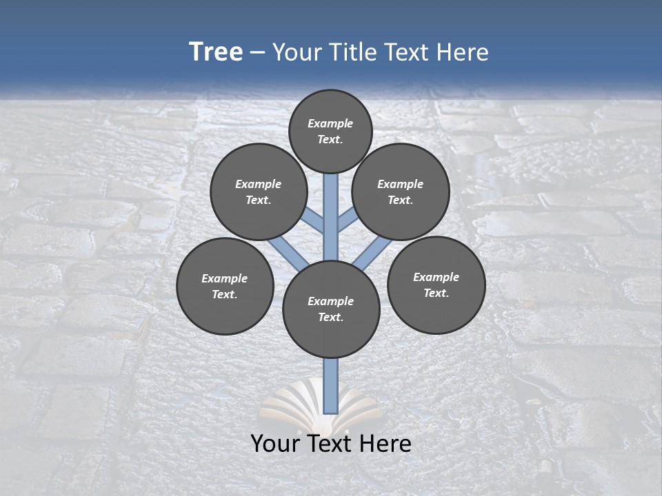 Way Of St James Rain Shell PowerPoint Template