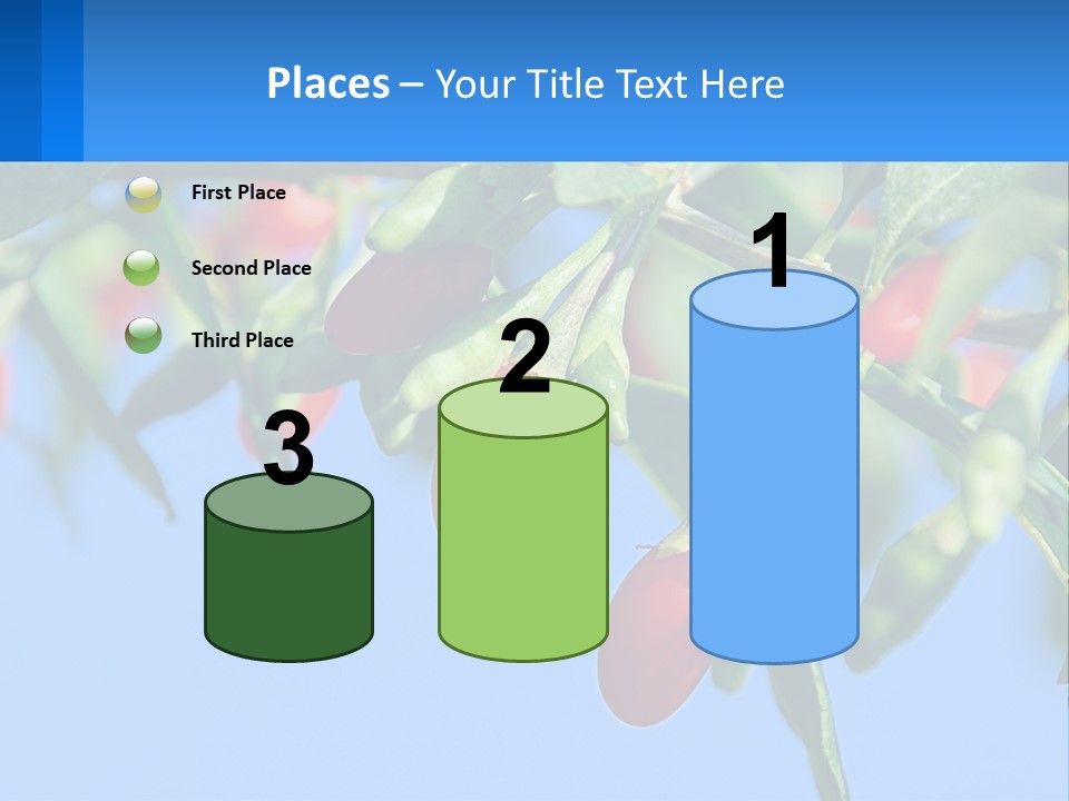 Antiaging Goji Barbarum PowerPoint Template