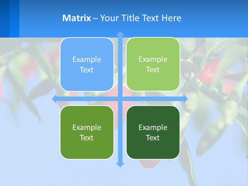 Antiaging Goji Barbarum PowerPoint Template