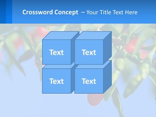 Antiaging Goji Barbarum PowerPoint Template