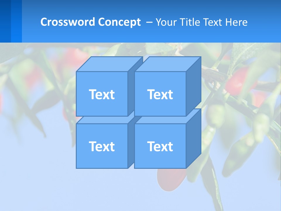 Antiaging Goji Barbarum PowerPoint Template