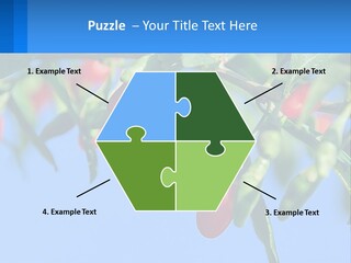 Antiaging Goji Barbarum PowerPoint Template