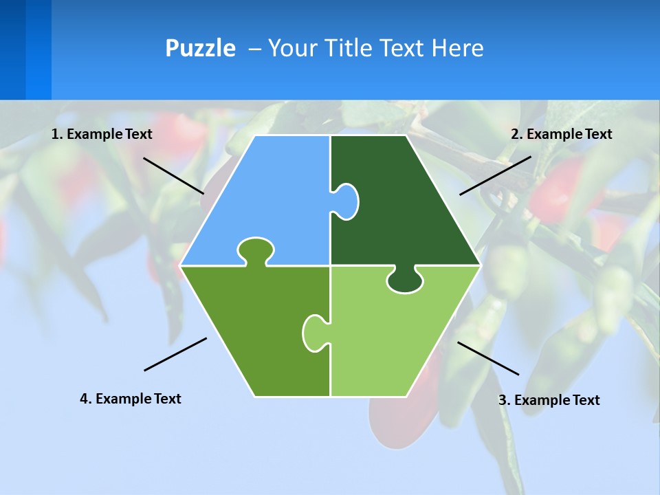 Antiaging Goji Barbarum PowerPoint Template