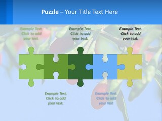 Antiaging Goji Barbarum PowerPoint Template