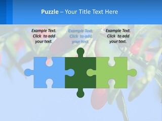 Antiaging Goji Barbarum PowerPoint Template