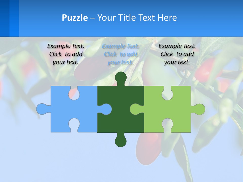 Antiaging Goji Barbarum PowerPoint Template