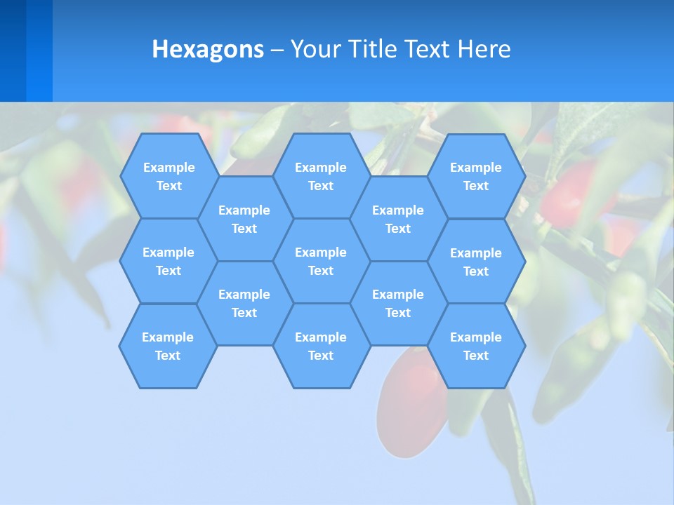 Antiaging Goji Barbarum PowerPoint Template