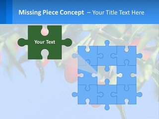 Antiaging Goji Barbarum PowerPoint Template