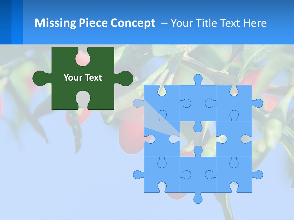 Antiaging Goji Barbarum PowerPoint Template