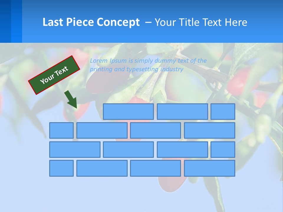 Antiaging Goji Barbarum PowerPoint Template