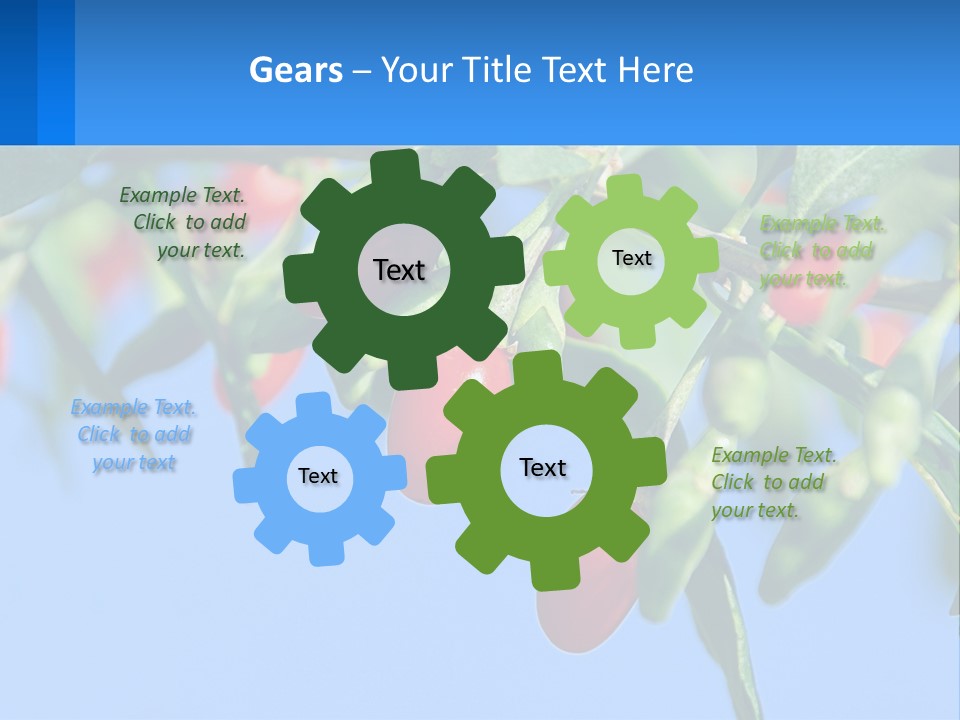 Antiaging Goji Barbarum PowerPoint Template