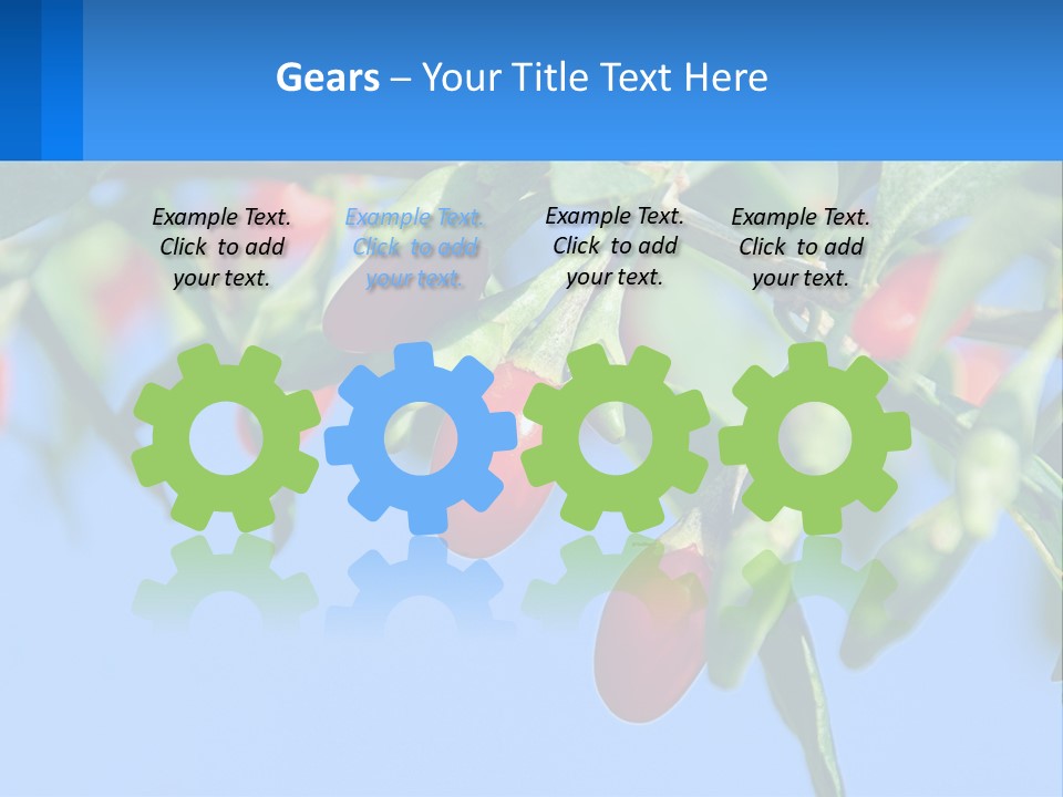 Antiaging Goji Barbarum PowerPoint Template