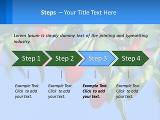 Antiaging Goji Barbarum PowerPoint Template