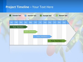 Antiaging Goji Barbarum PowerPoint Template
