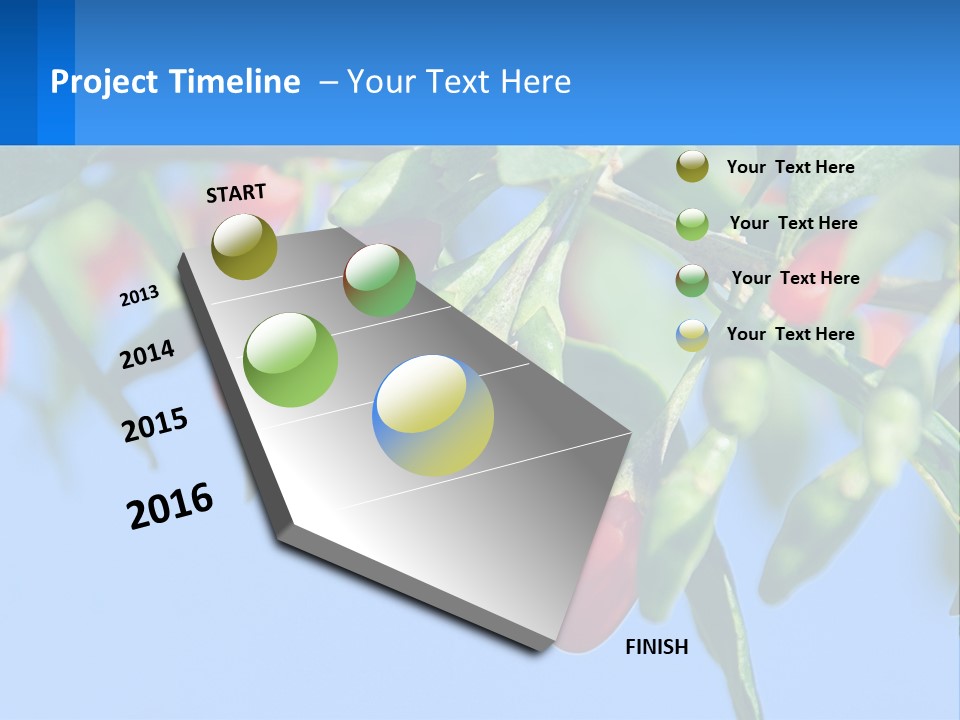 Antiaging Goji Barbarum PowerPoint Template