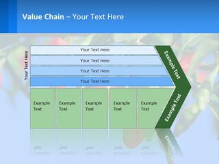 Antiaging Goji Barbarum PowerPoint Template