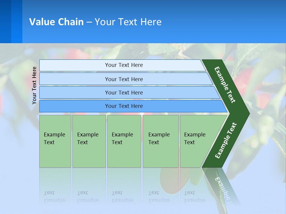 Antiaging Goji Barbarum PowerPoint Template