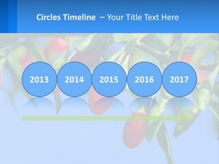 Antiaging Goji Barbarum PowerPoint Template
