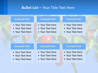 Antiaging Goji Barbarum PowerPoint Template