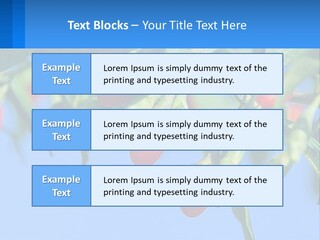 Antiaging Goji Barbarum PowerPoint Template