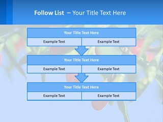 Antiaging Goji Barbarum PowerPoint Template