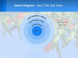 Antiaging Goji Barbarum PowerPoint Template