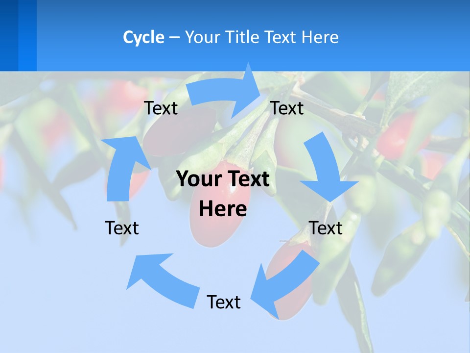 Antiaging Goji Barbarum PowerPoint Template
