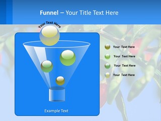 Antiaging Goji Barbarum PowerPoint Template