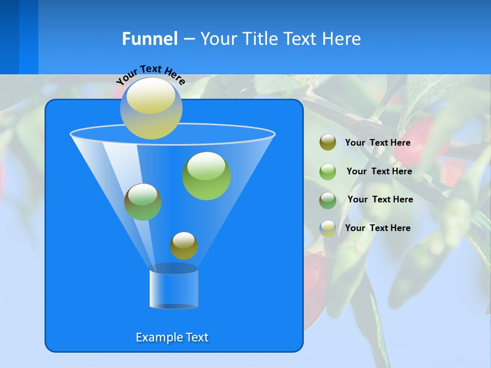Antiaging Goji Barbarum PowerPoint Template