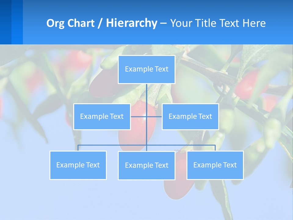 Antiaging Goji Barbarum PowerPoint Template