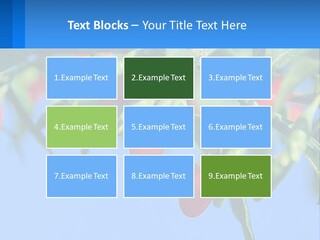 Antiaging Goji Barbarum PowerPoint Template