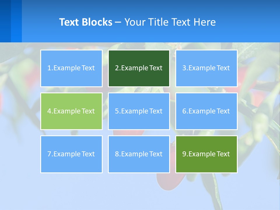 Antiaging Goji Barbarum PowerPoint Template