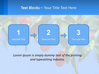 Antiaging Goji Barbarum PowerPoint Template