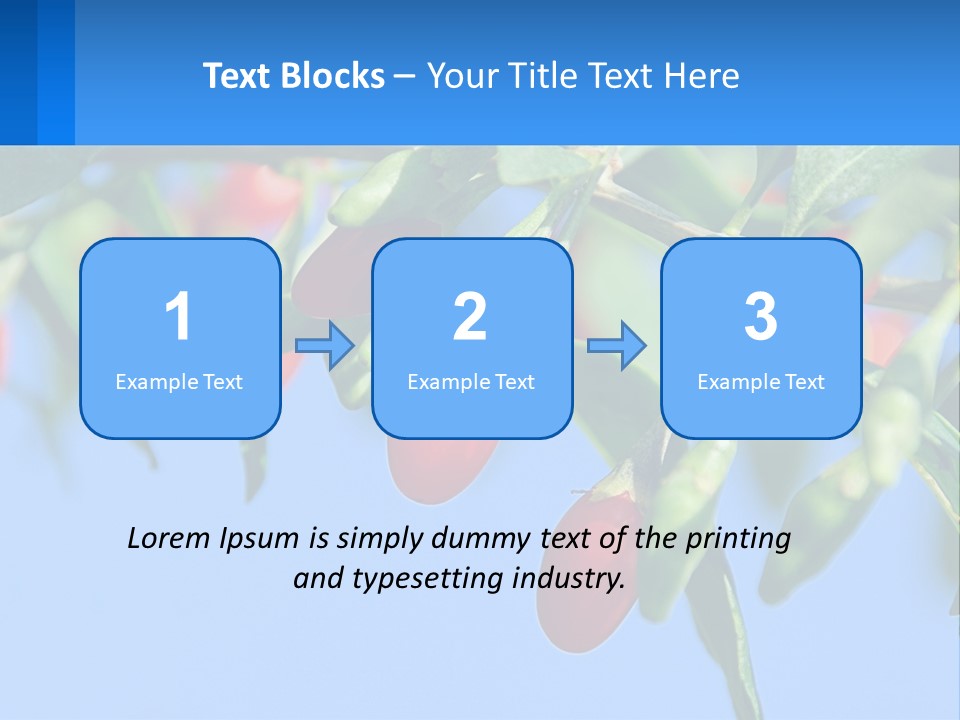 Antiaging Goji Barbarum PowerPoint Template